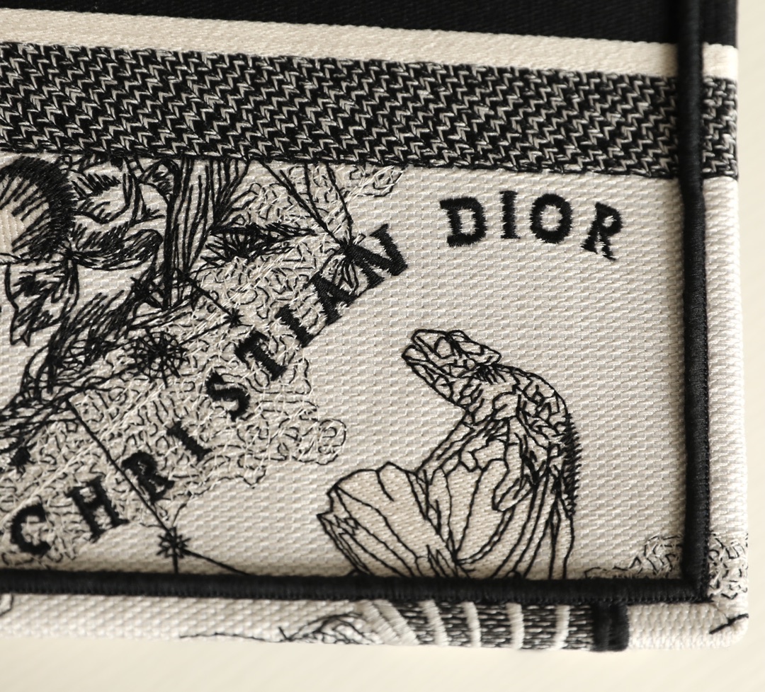 DIOR TOTE Constellation Embroidery