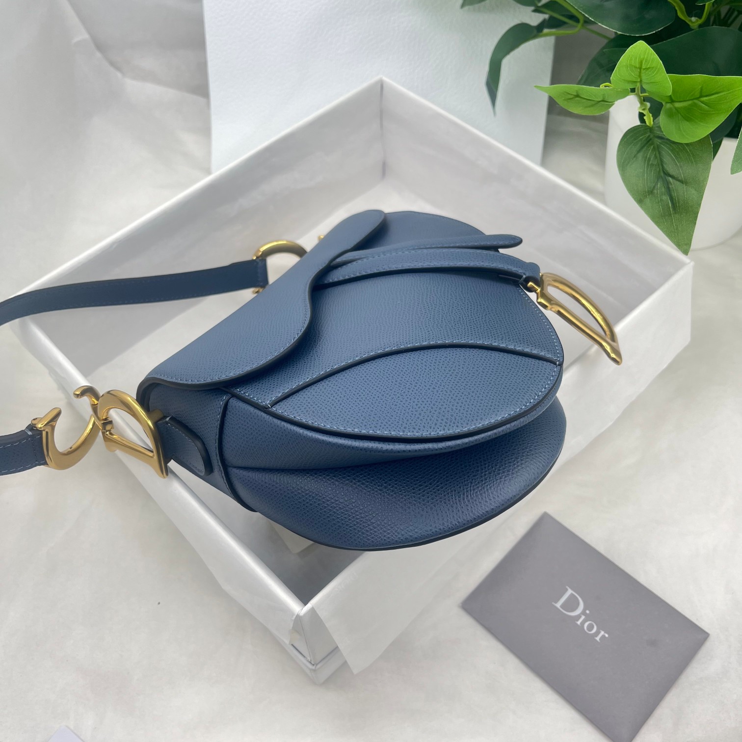 Dior saddle ball print collection