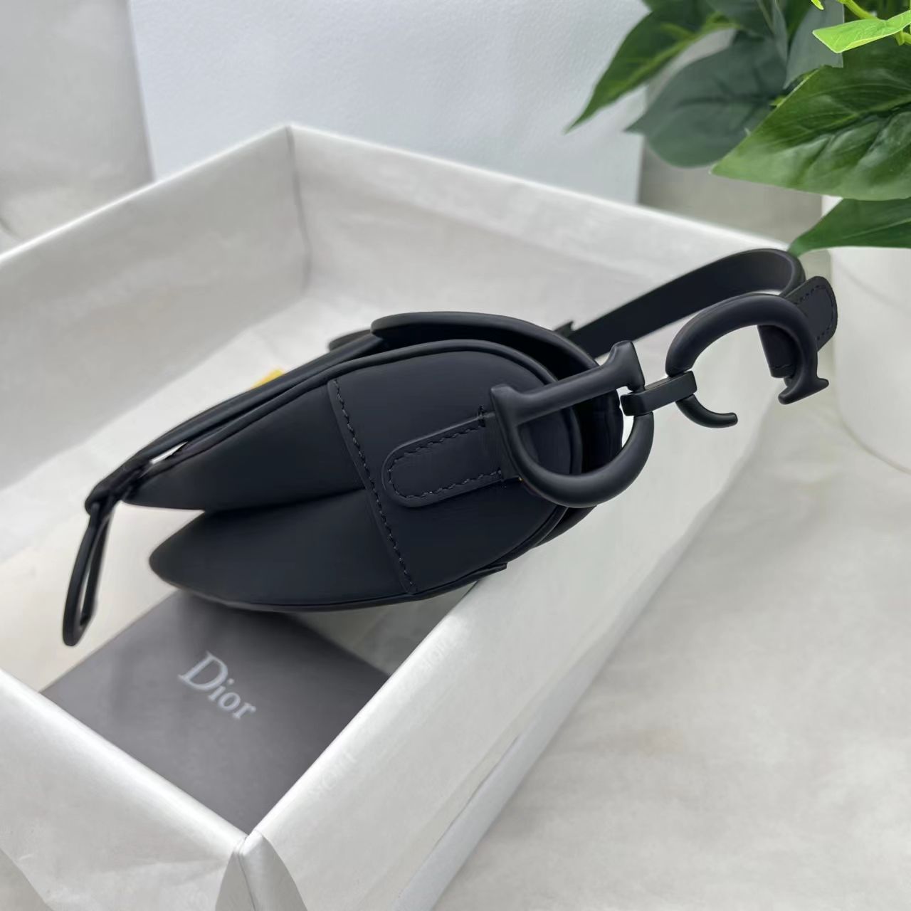 Dior saddle scrub series