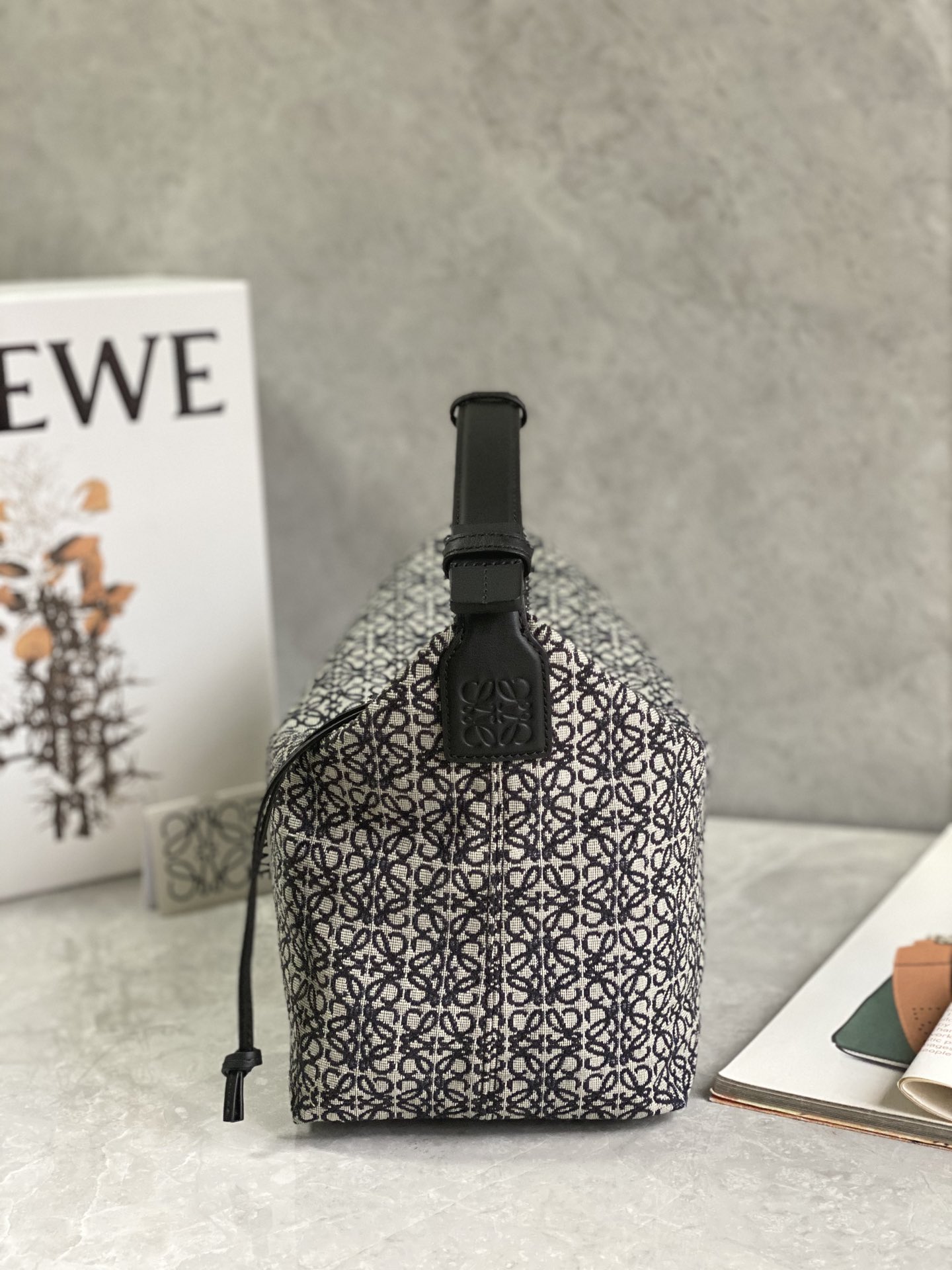 LOEWE cubi bento bag