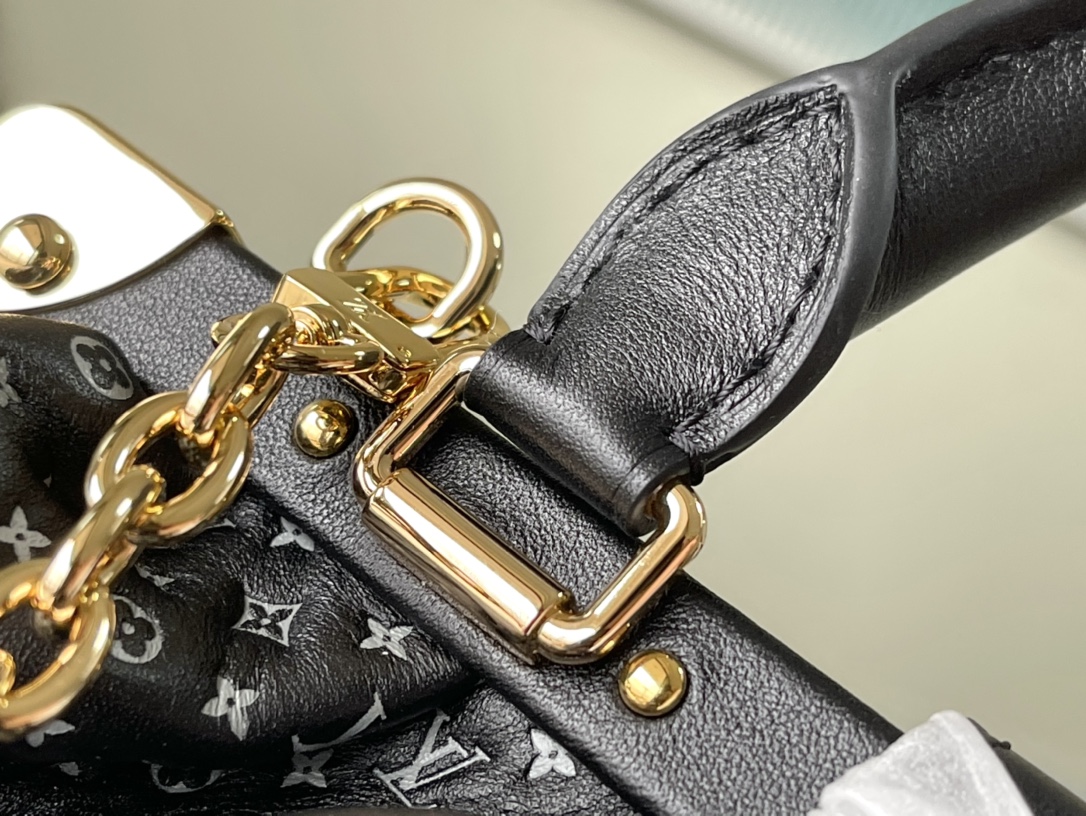 𝐋𝐎𝐔𝐈𝐒 𝐕𝐔𝐈𝐓𝐓𝐎𝐍     M22326