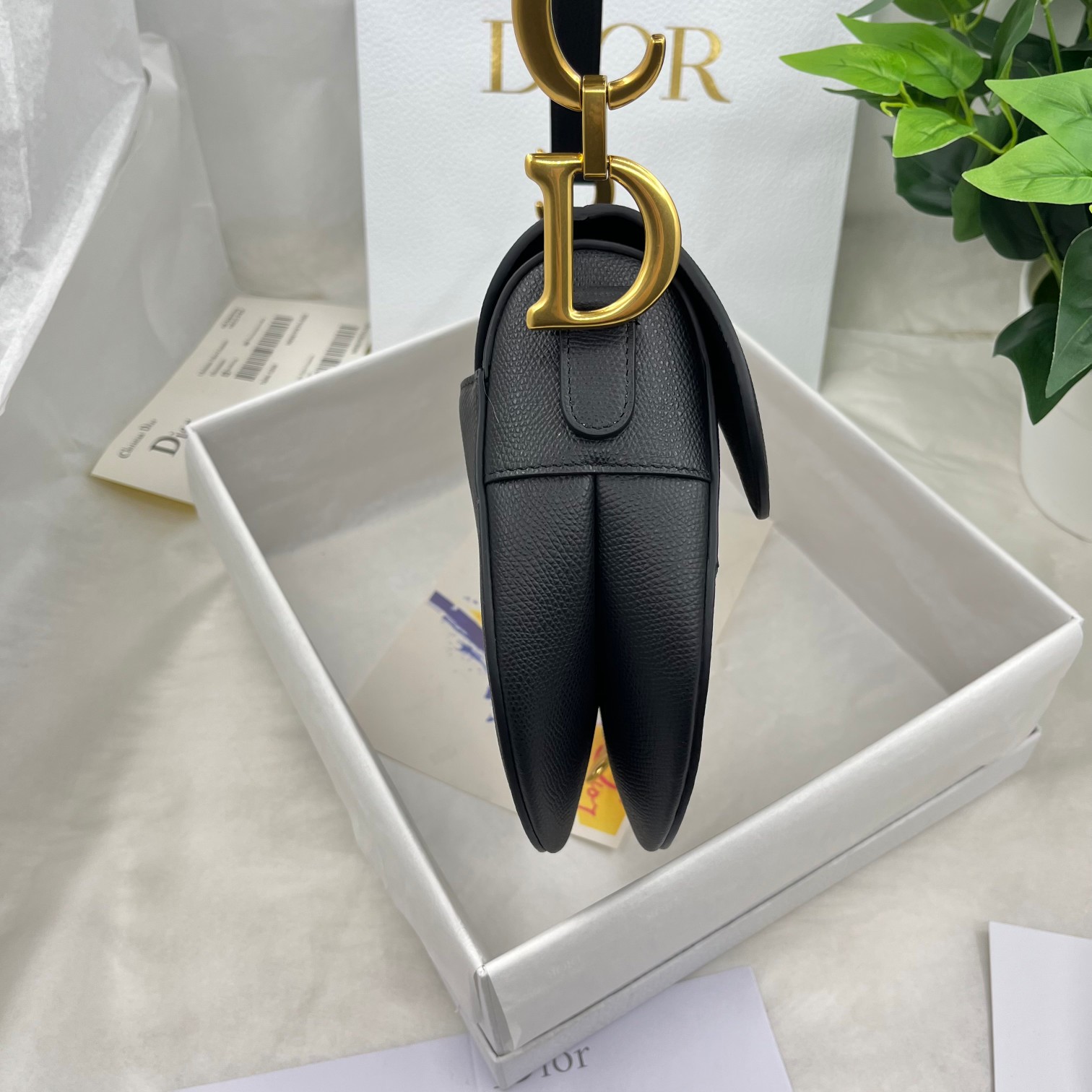 Dior saddle palm print collection