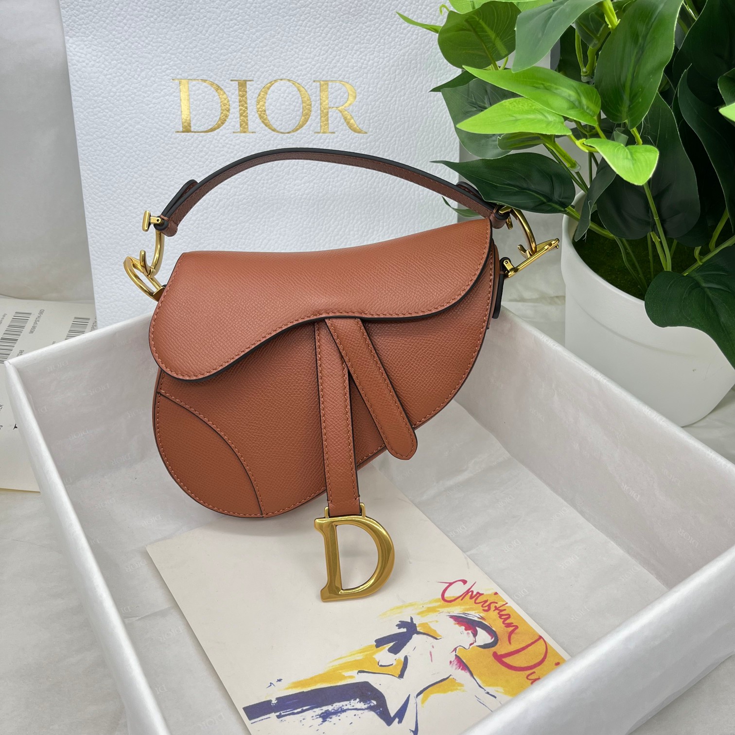 Dior saddle palm print collection