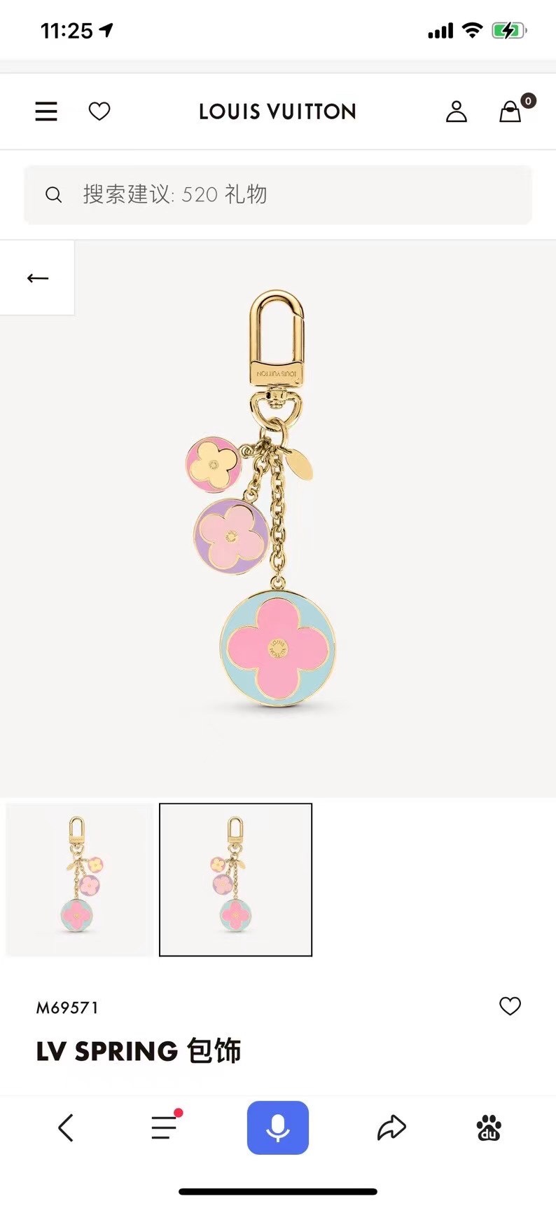 Louis Vuitton Lv bag and key ring