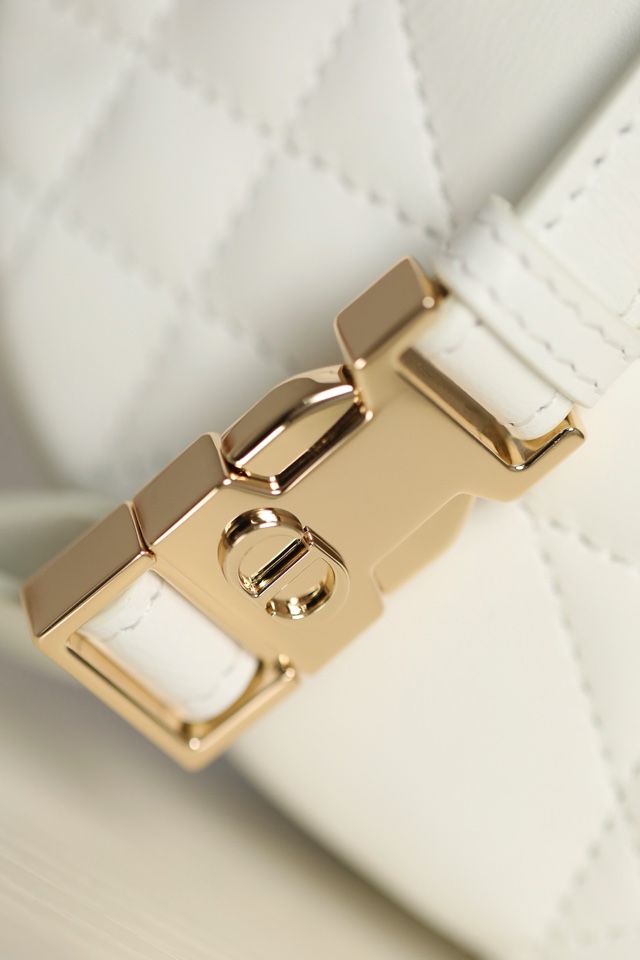 DIOR VIBE Medium Dumpling Bag