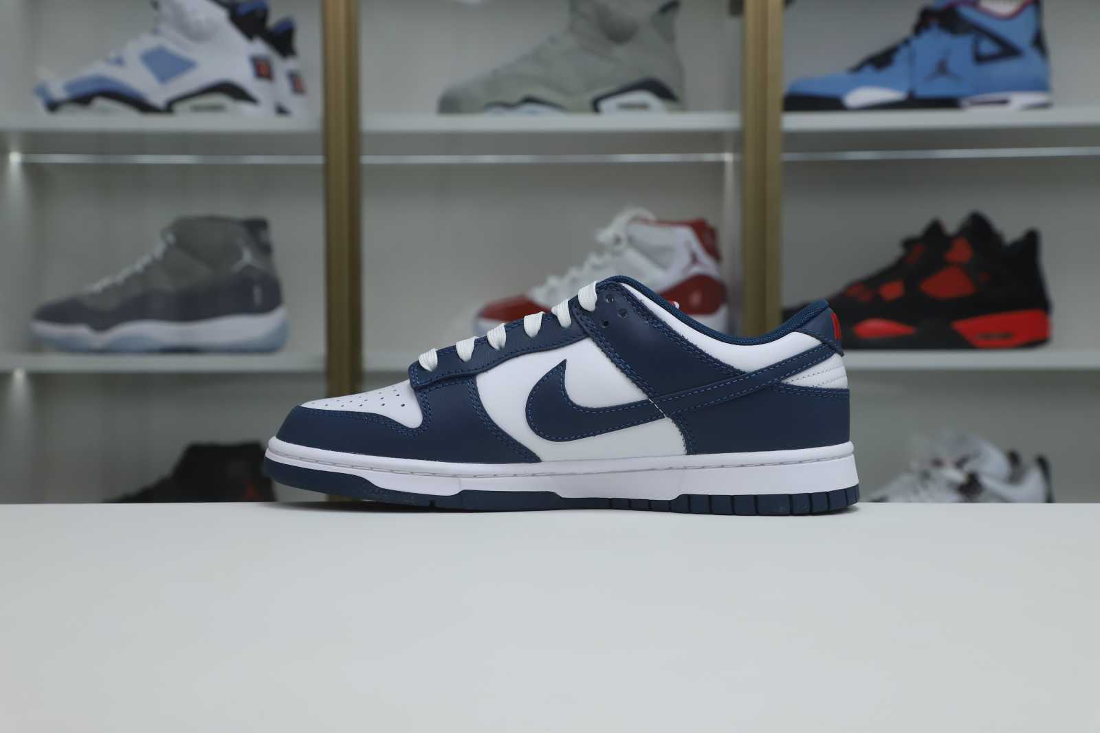 Nike Dunk Low Retro Valerian Blue