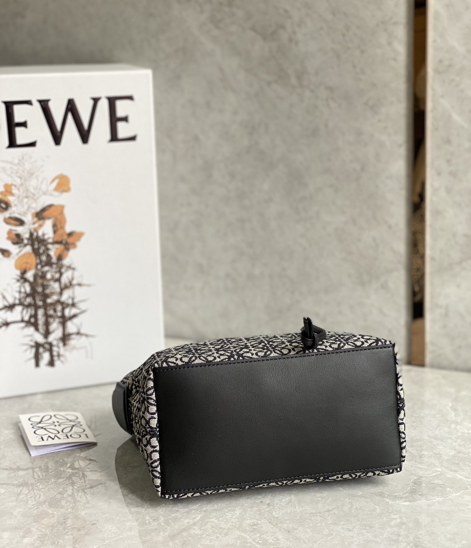 LOEWE cubi bento bag