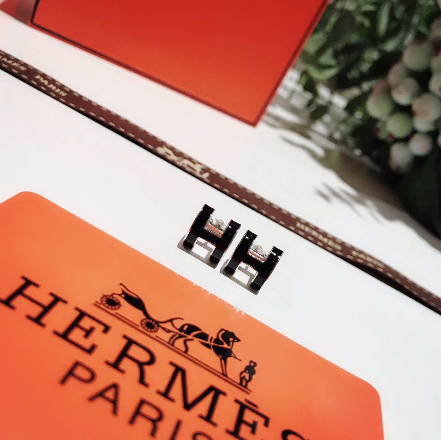 Hermes Earrings