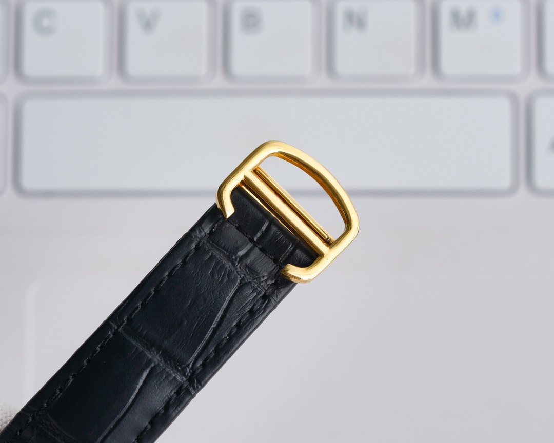 Cartier Fine Men's Watches