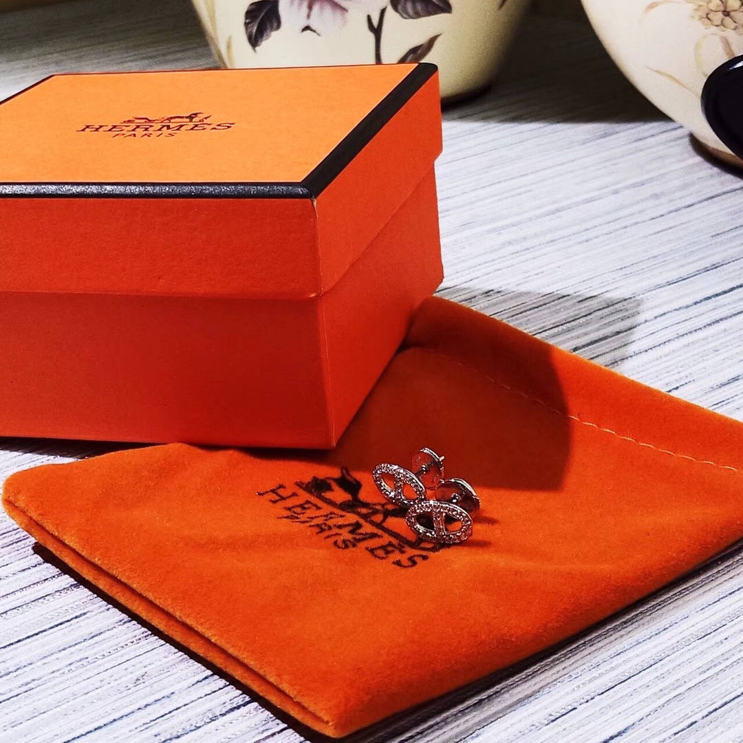 Hermes Earrings