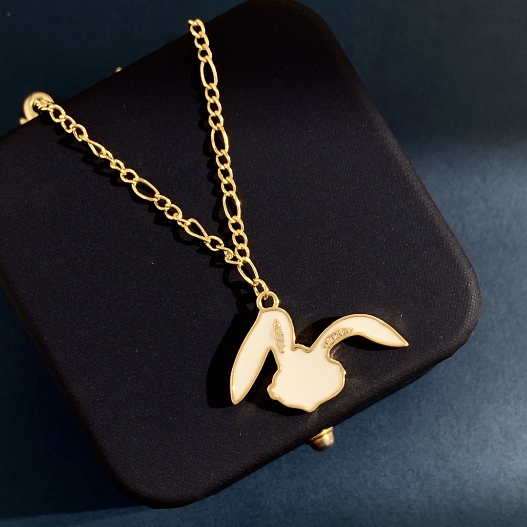 Dior necklace