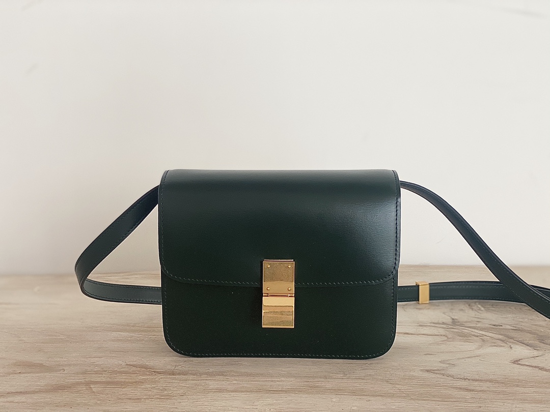 𝐂𝐞𝐥𝐢𝐧𝐞 Box Teen bag in polished calfskin
