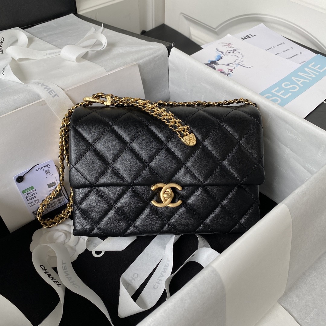 Chanel 23S Underarm Bag AS3994, Top Quality SIZE: 14 * 21 * 10cm