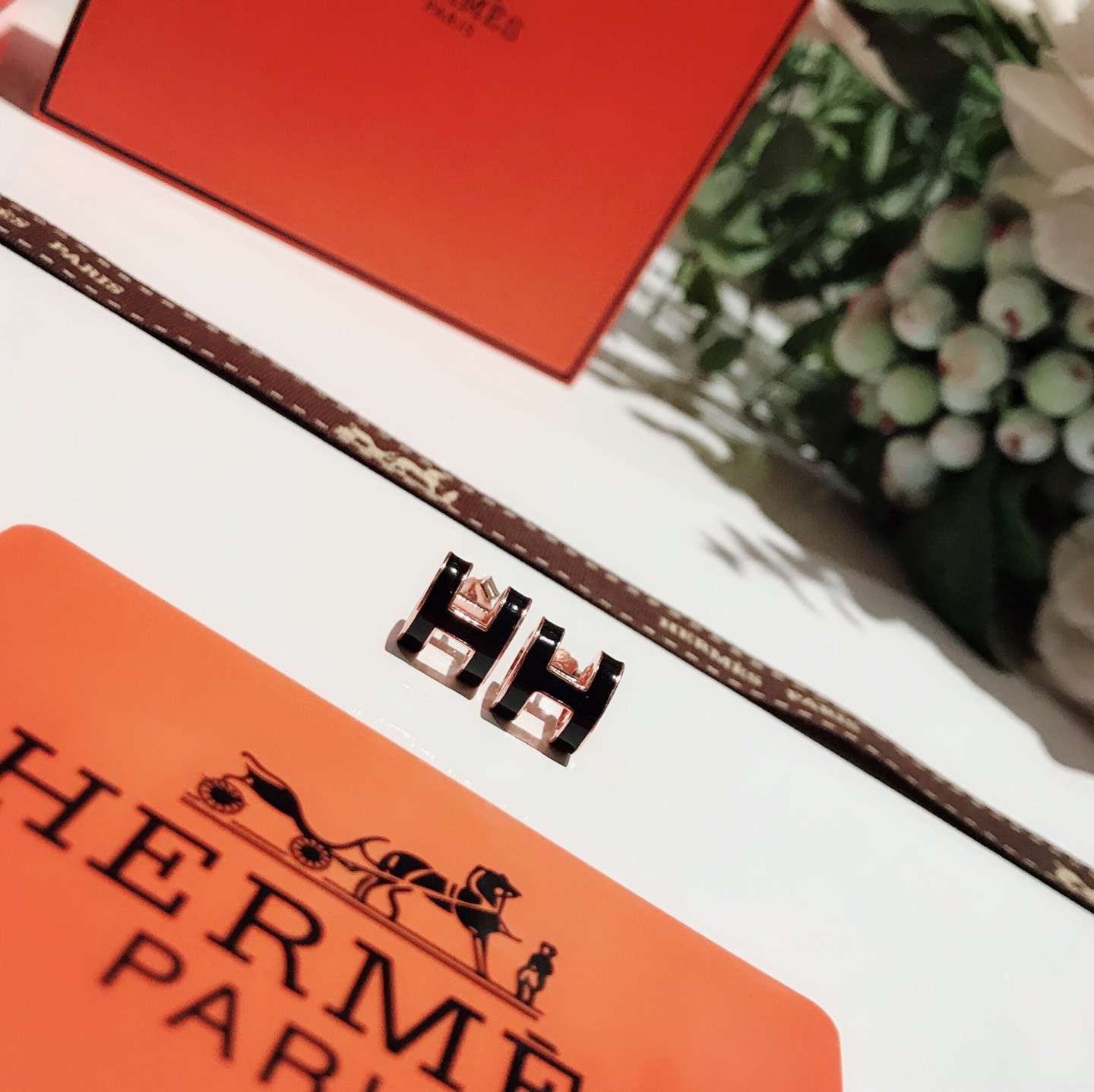 Hermes Earrings