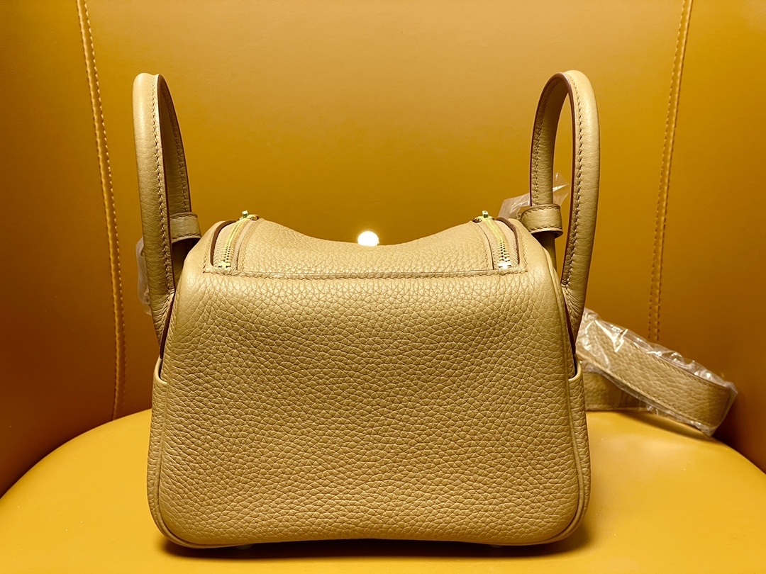 Mini Lindy cookie color tc leather gold buckle