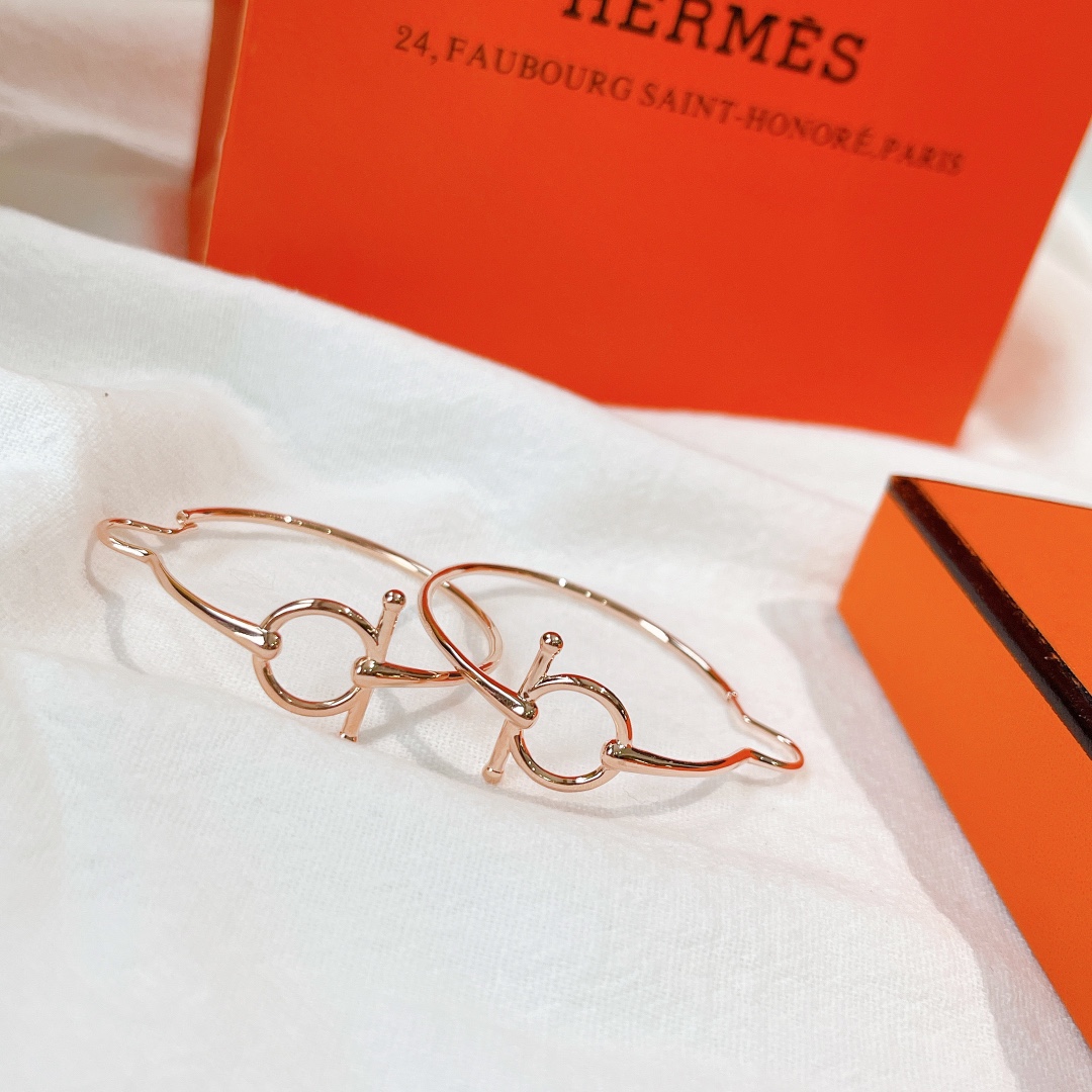 Hermes Earrings