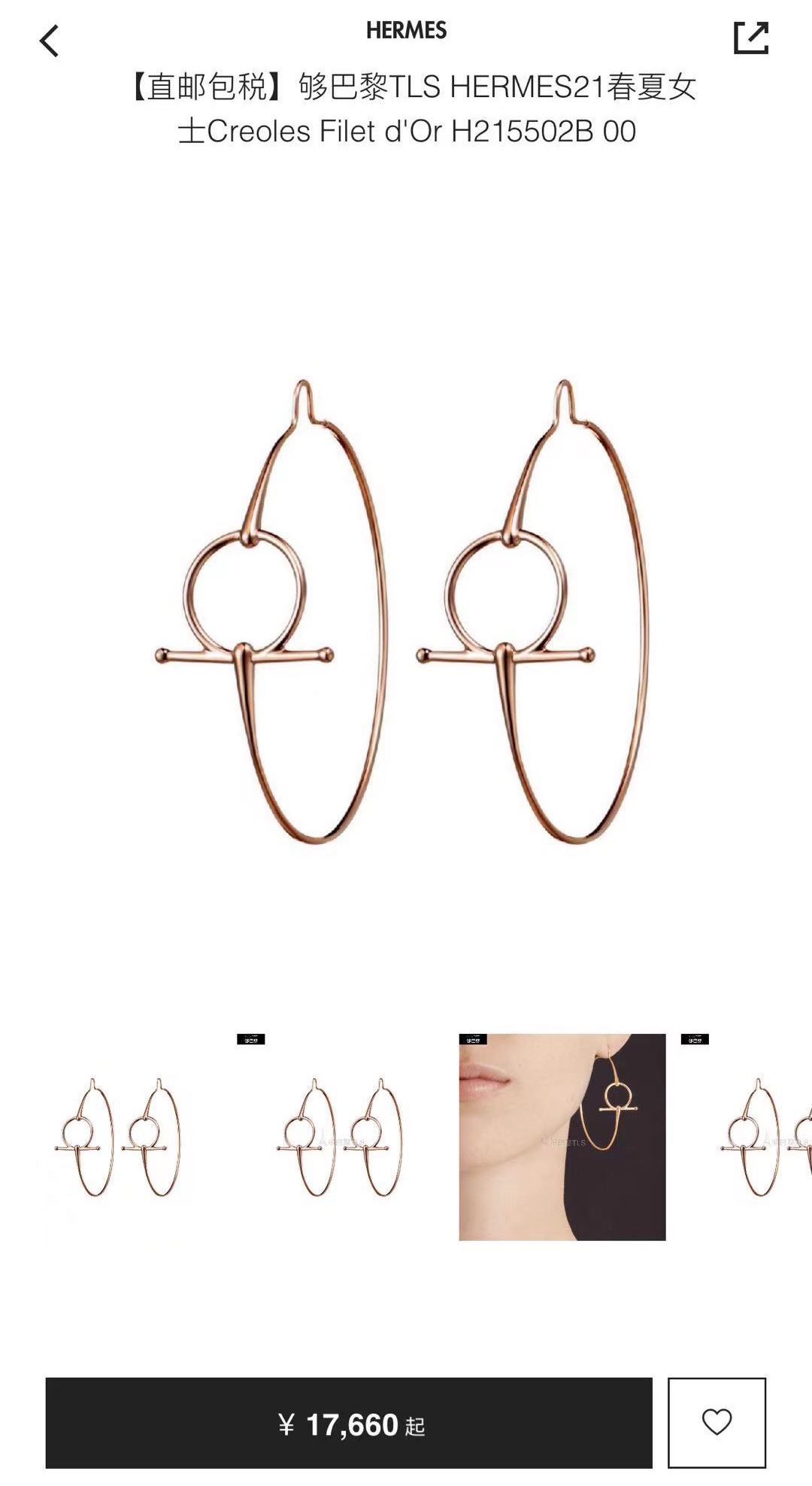 Hermes Earrings