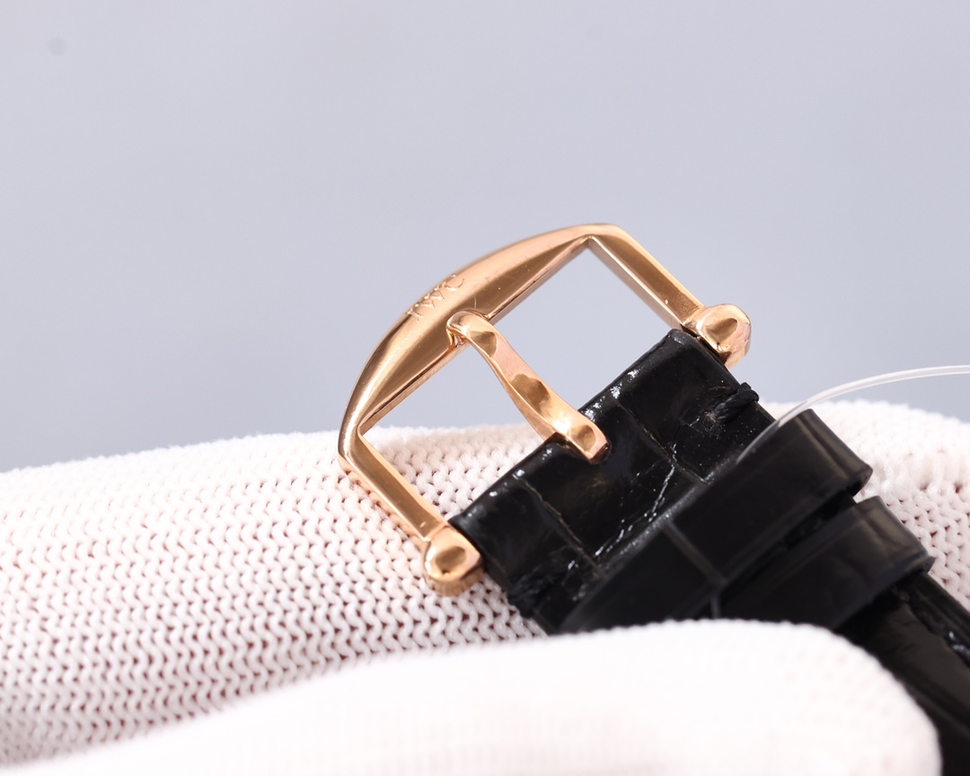 IWC- Portofino Men's Watch Movement EAT2836 in imported calfskin