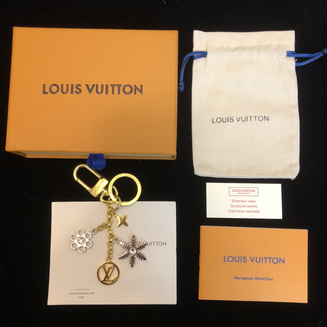 Louis Vuitton Lv bag and key ring
