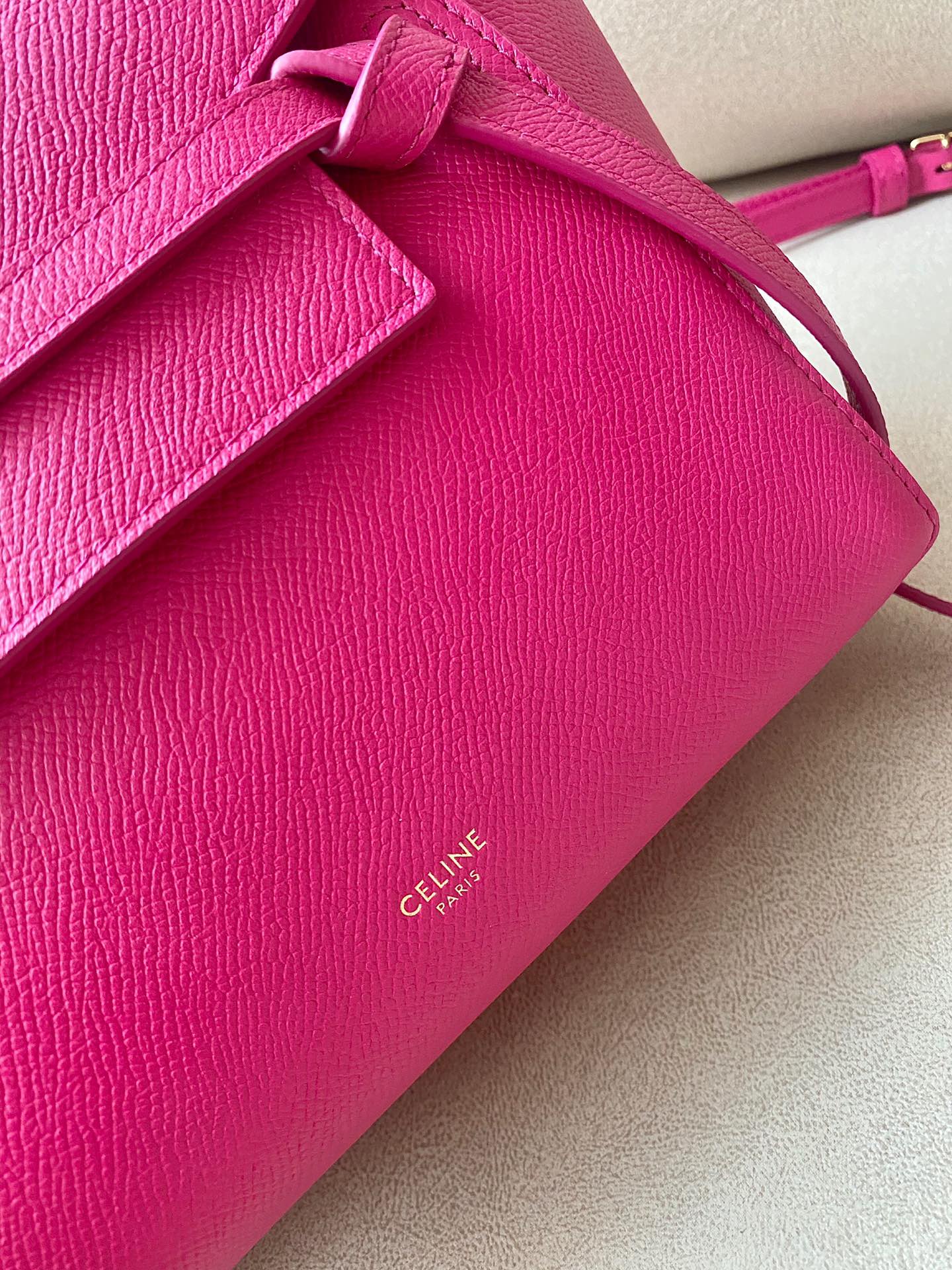 𝐂𝐞𝐥𝐢𝐧𝐞 Belt Bag Catfish Bag Small Grained Calfskin