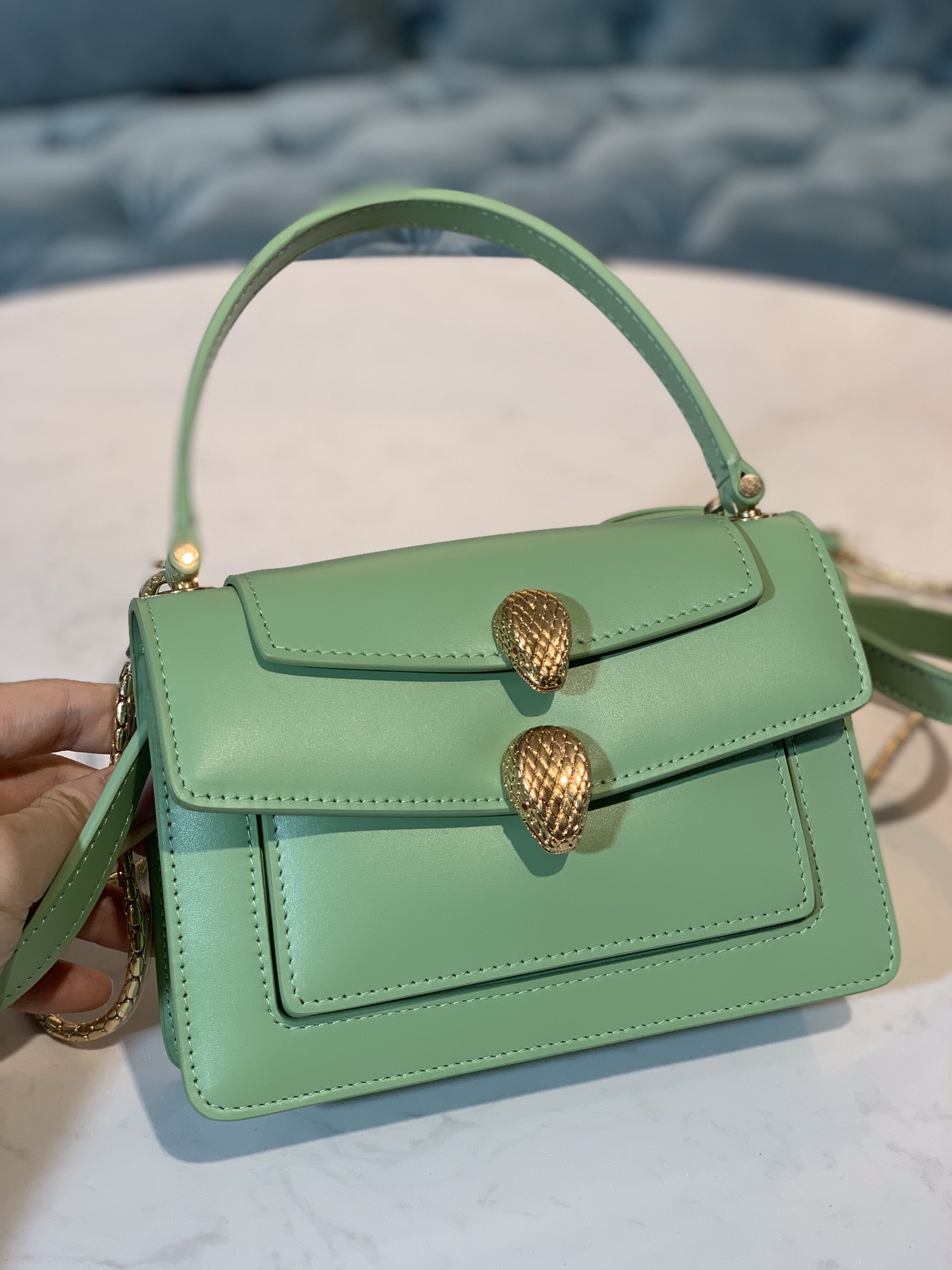 BVLGARI   Alexander Wang X Bvlgr