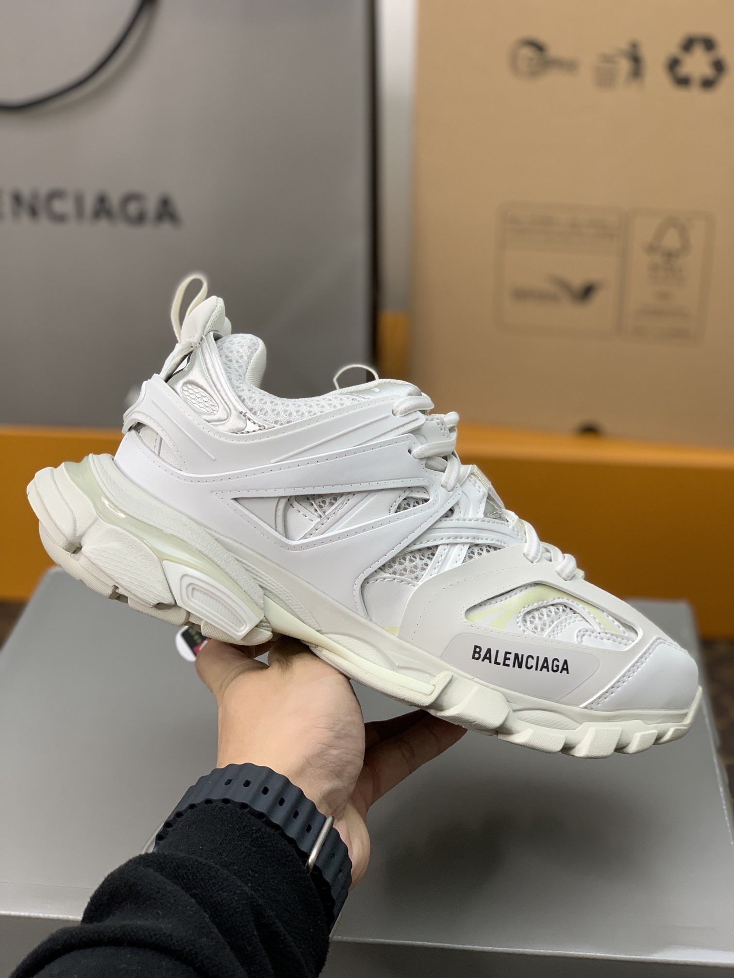 Balenciaga sneakers