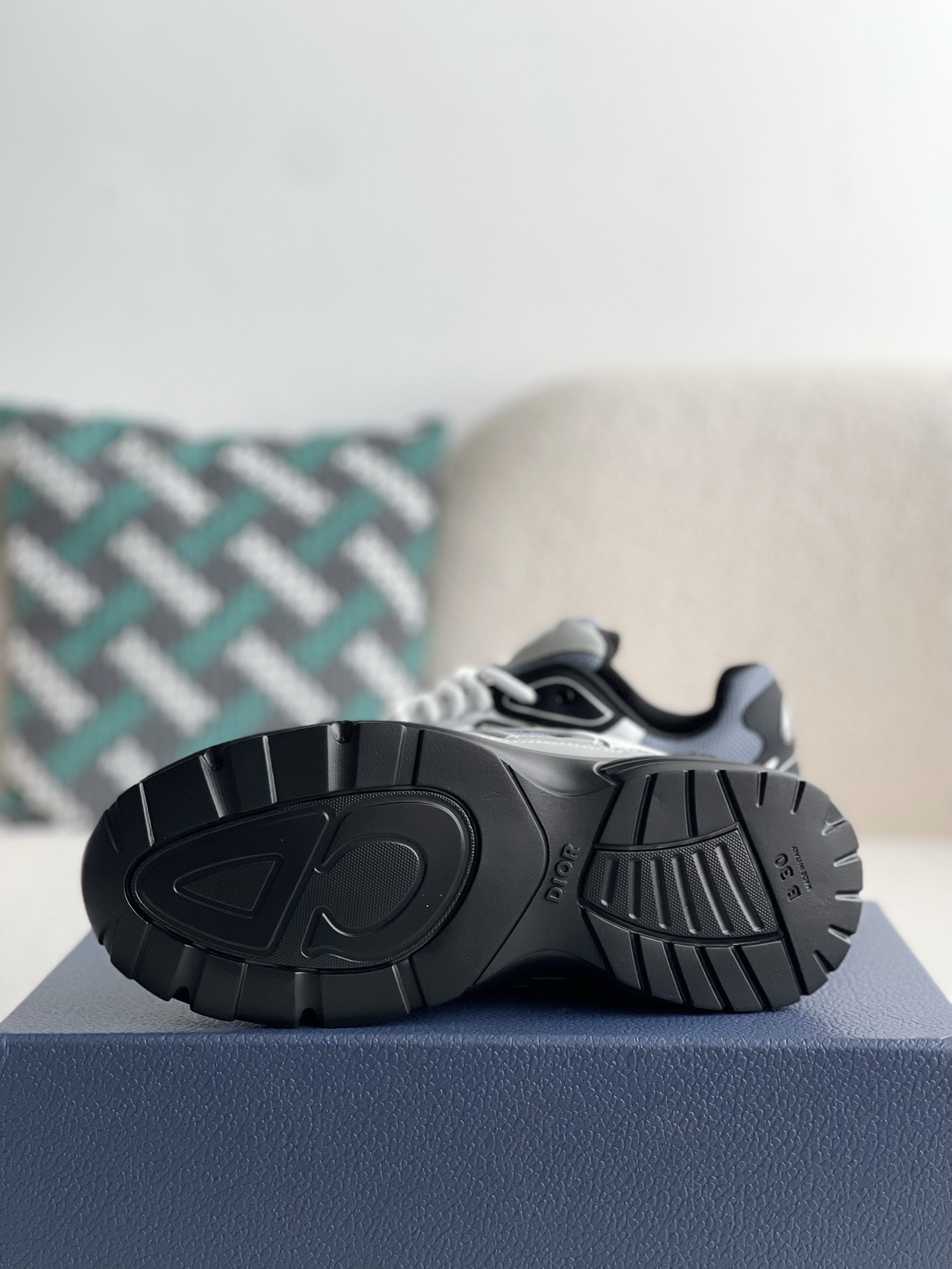 Dior B30 New Sneaker