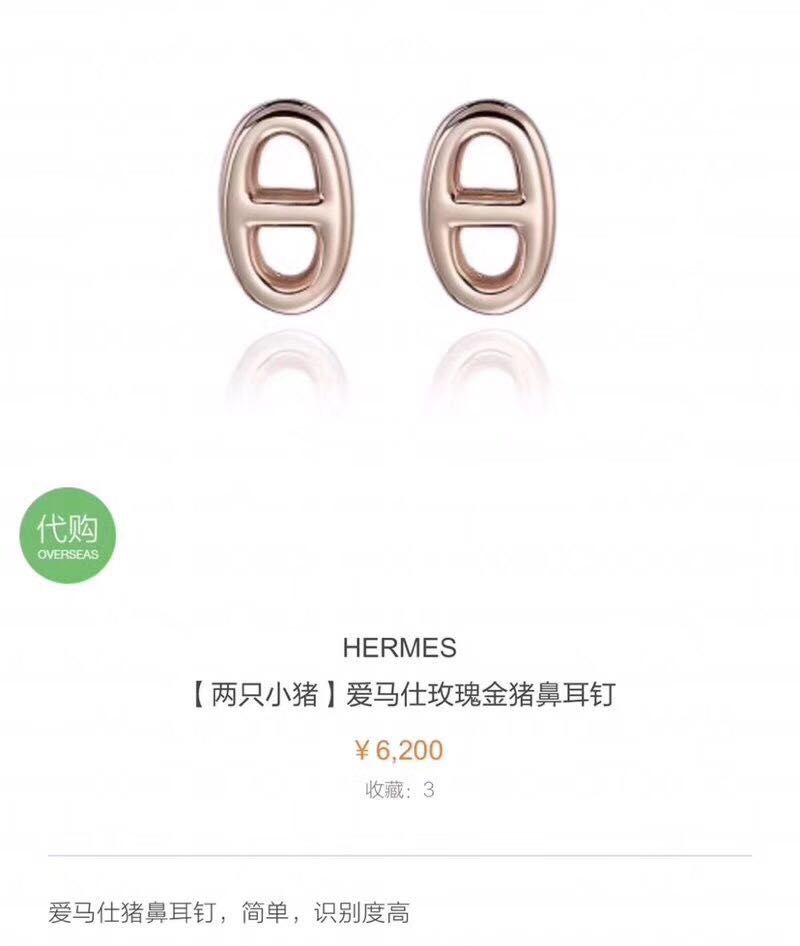 Hermes Earrings