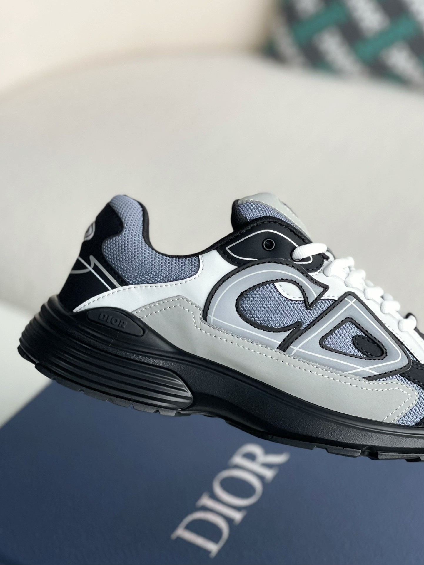 Dior B30 New Sneaker