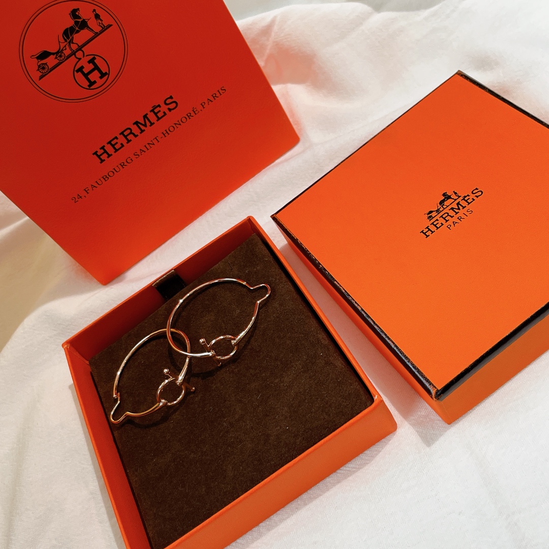 Hermes Earrings
