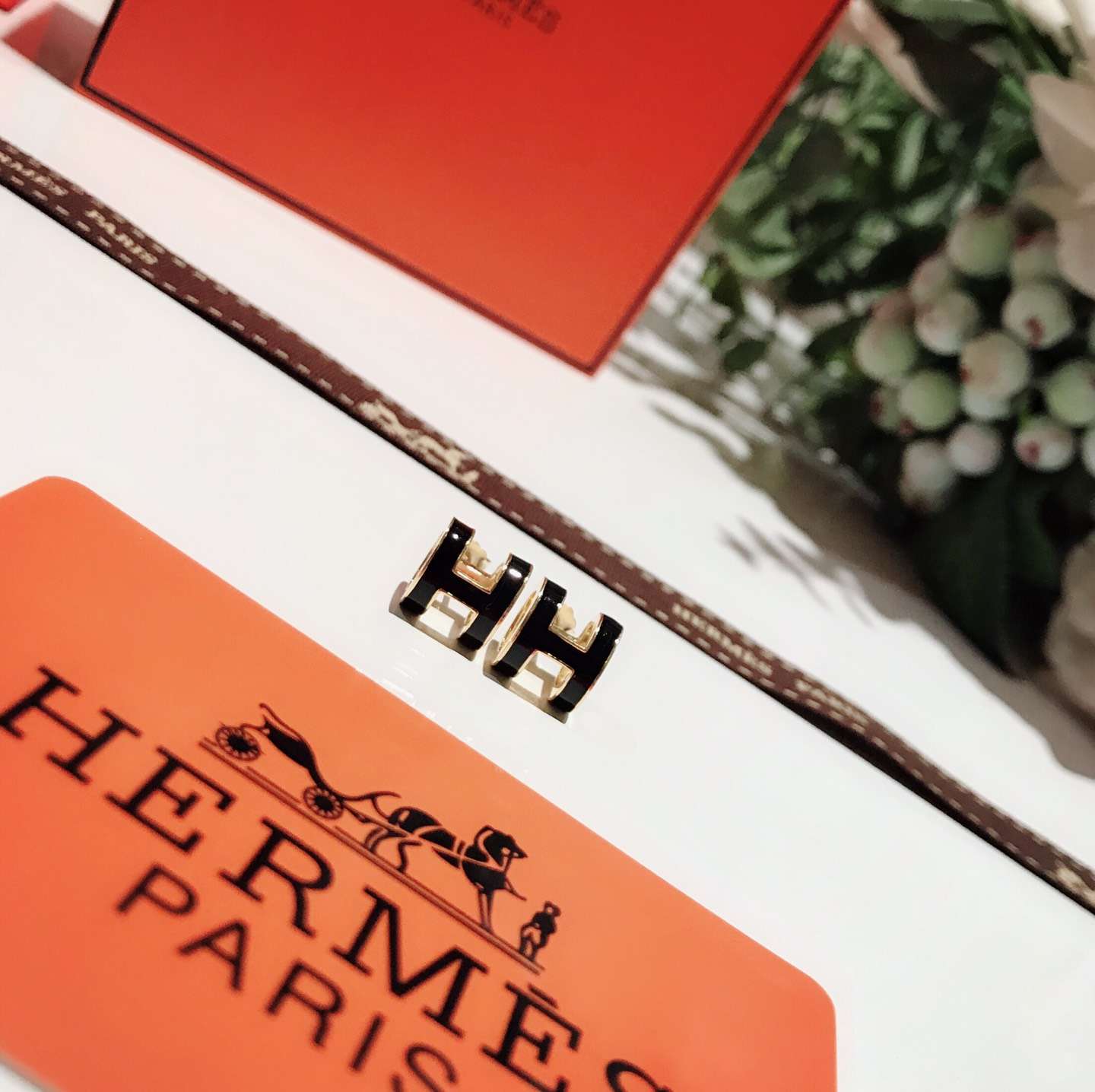 Hermes Earrings
