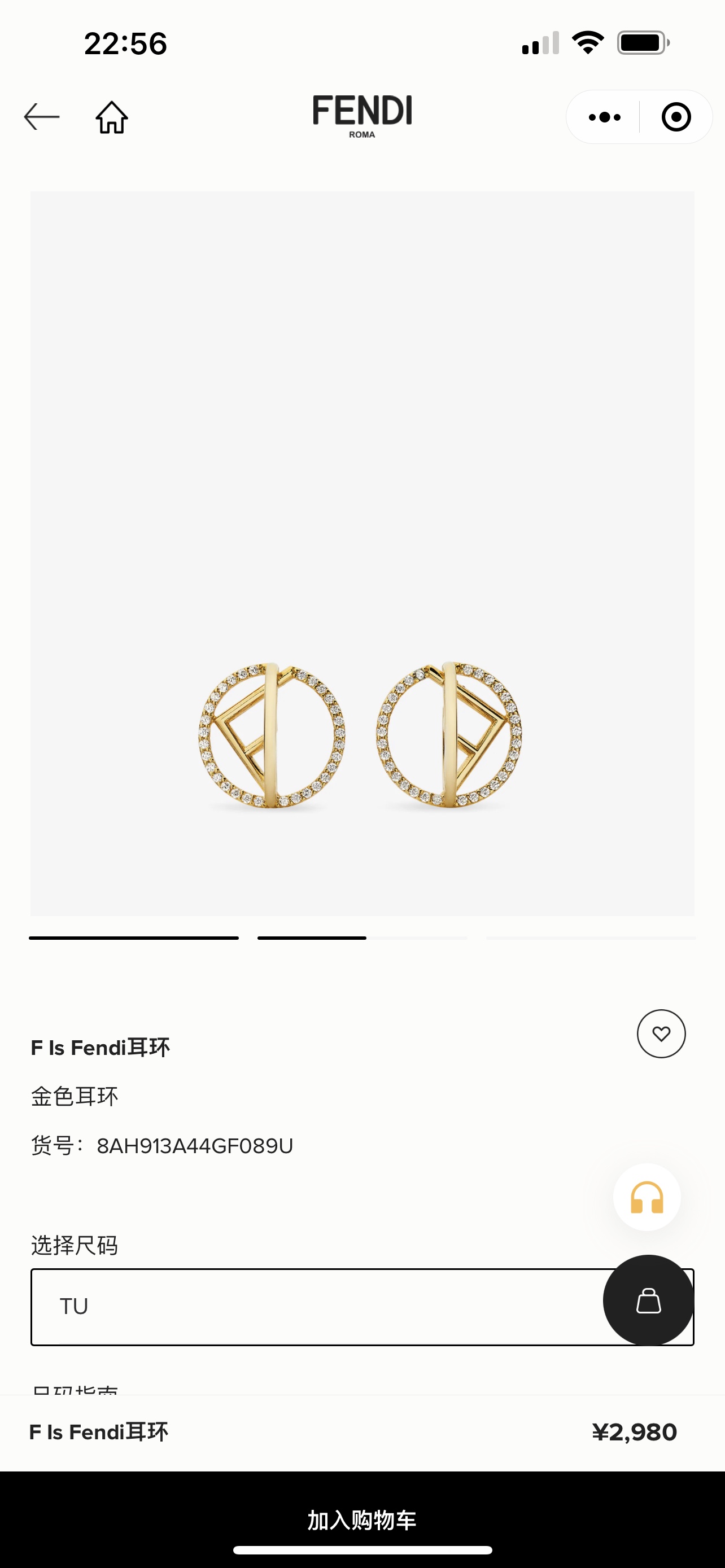 Fendi Earrings