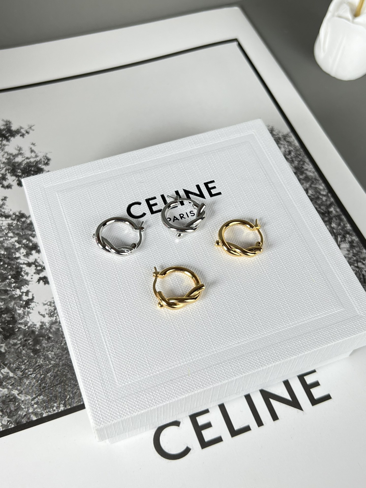 Celine Earrings