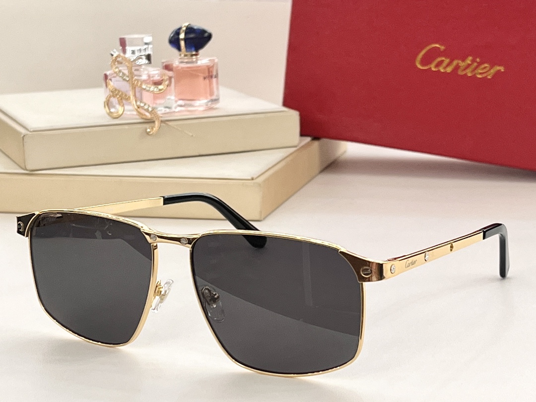 Cartier MODEL：CT0322S