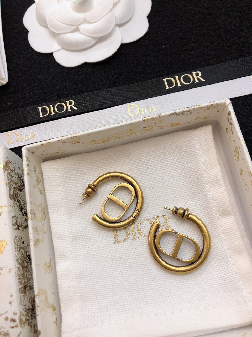 Dior earrings