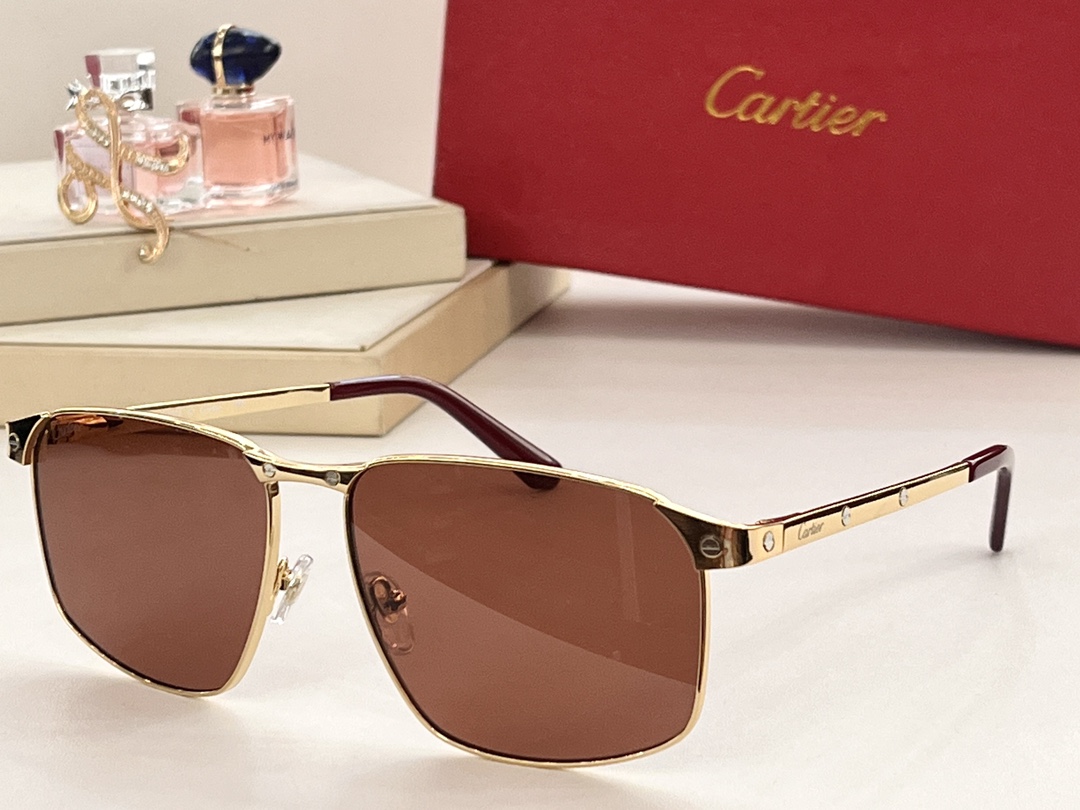Cartier MODEL：CT0322S