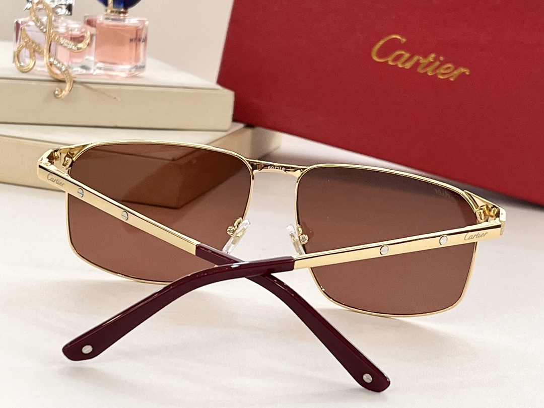 Cartier MODEL：CT0322S
