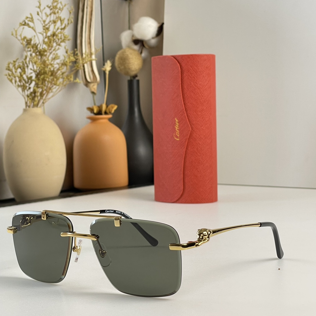 Cartier  Mod：CT0350