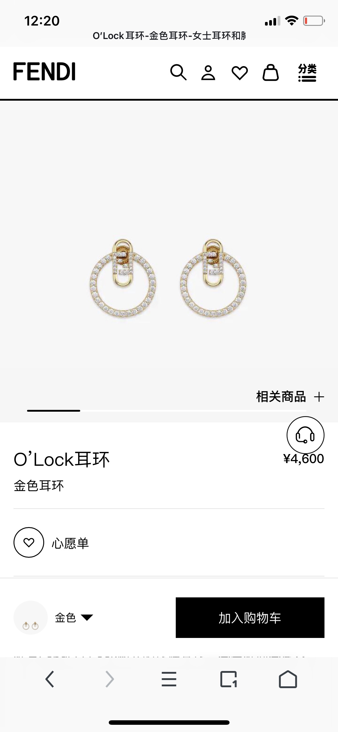 Fendi Earrings