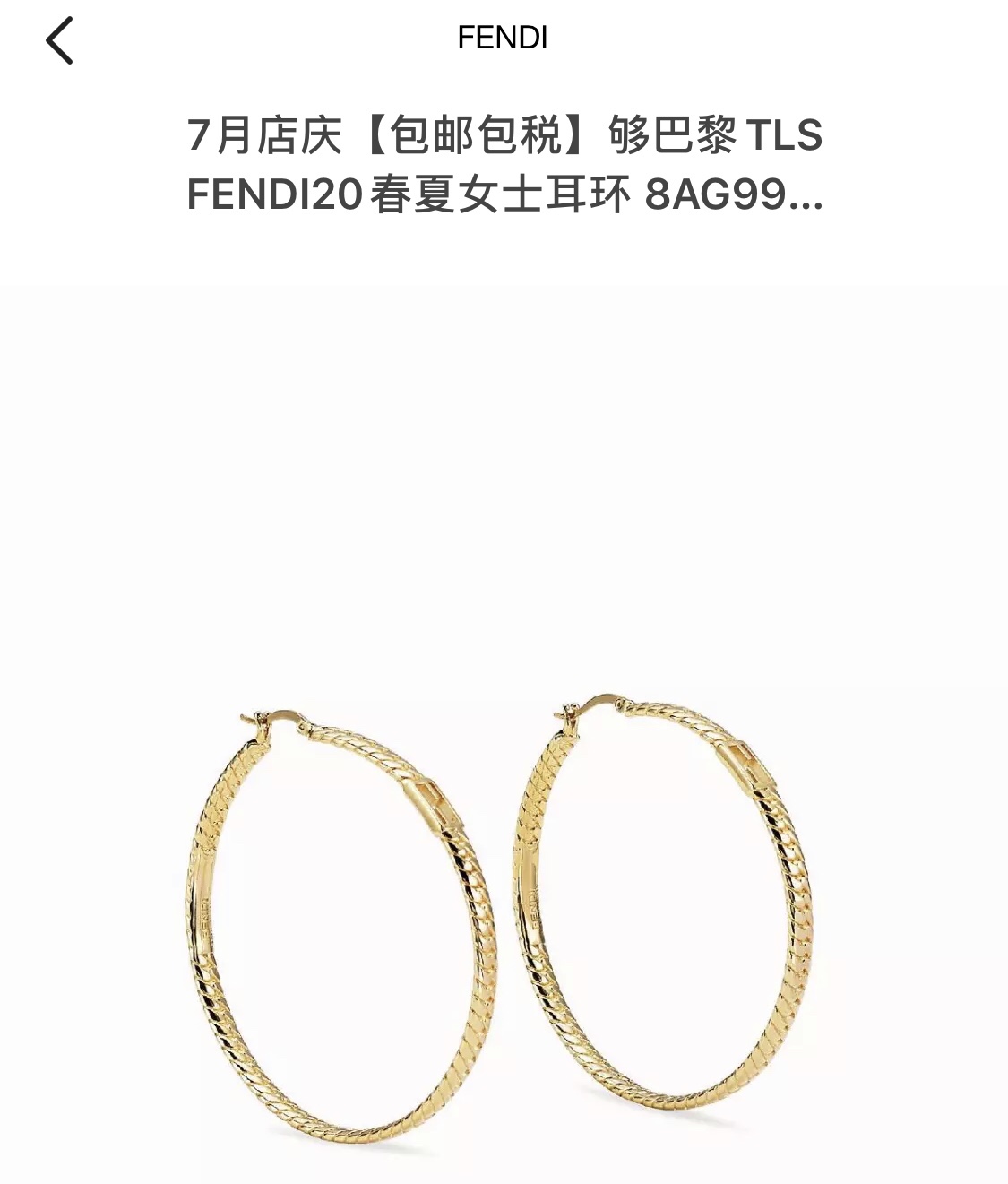 Fendi Earrings