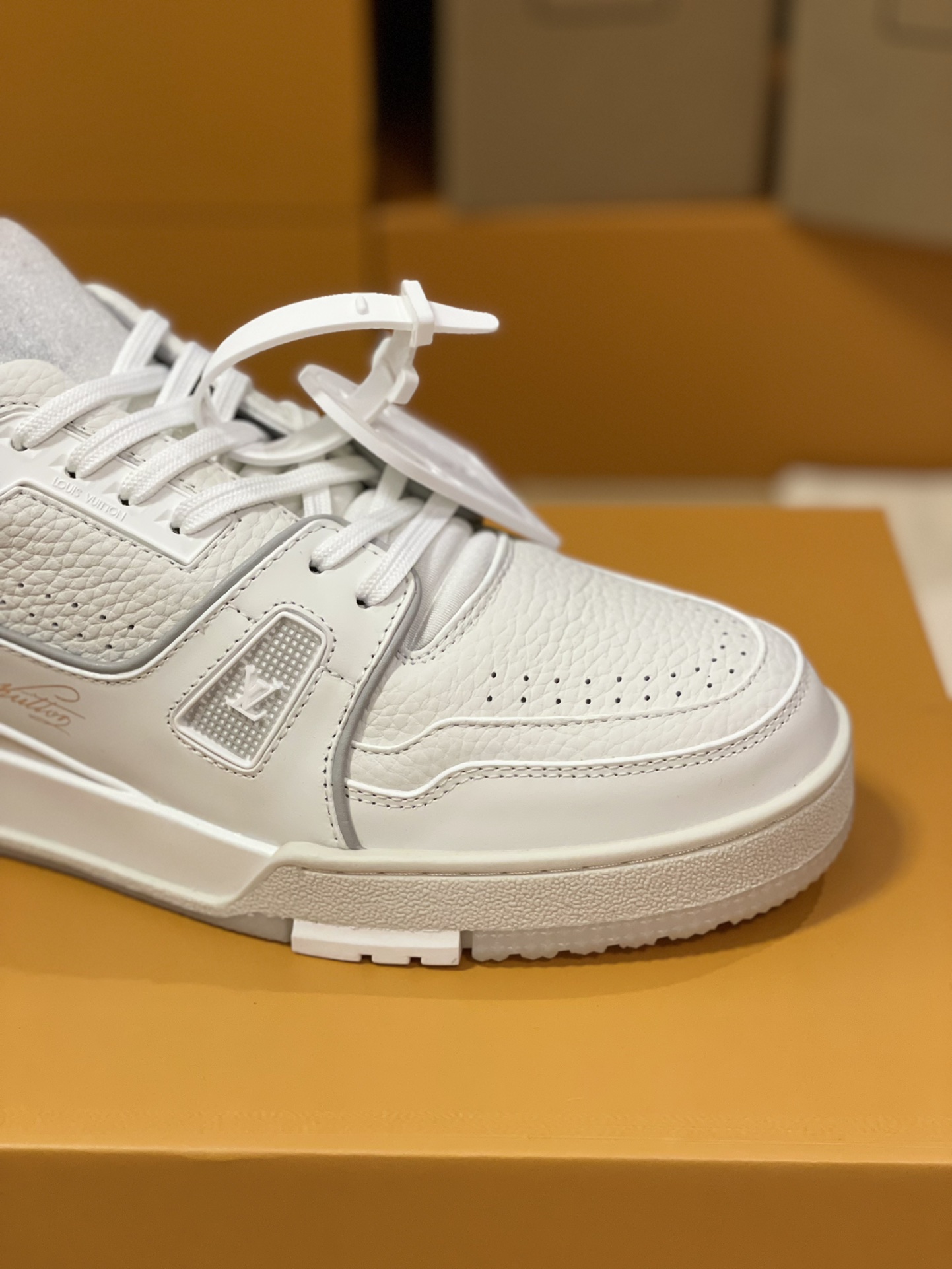 Louis Vuitton Trainer Couples Style FD0261