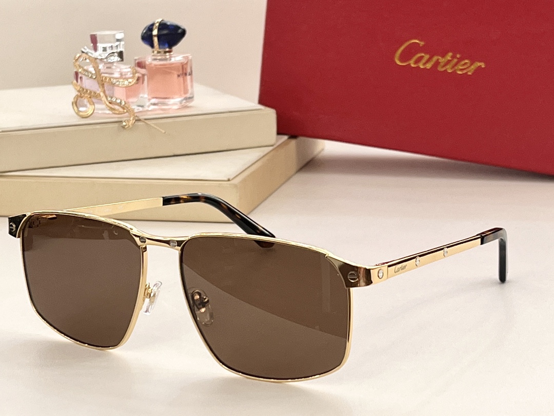 Cartier MODEL：CT0322S