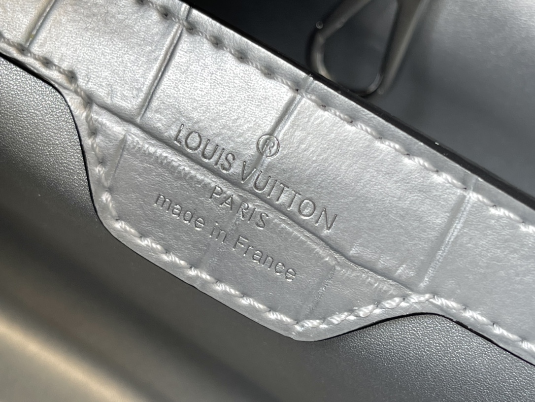 𝐋𝐎𝐔𝐈𝐒 𝐕𝐔𝐈𝐓𝐓𝐎𝐍   N93163