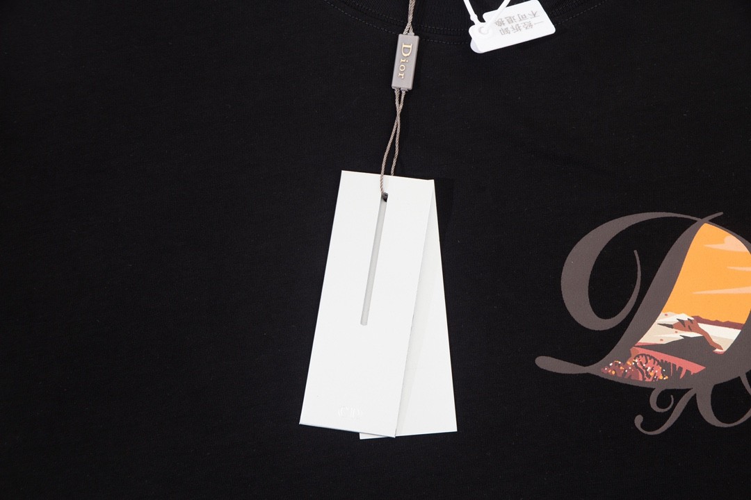 Dior 23FW spring/summer classic T-shirt