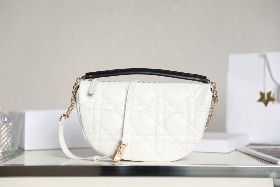 DIOR VIBE Medium Dumpling Bag