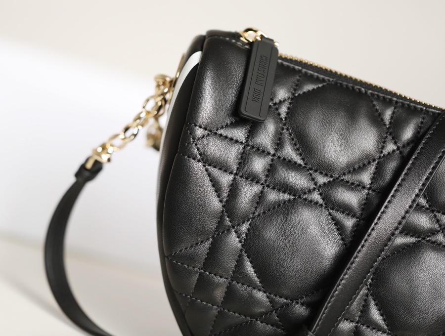 DIOR VIBE Medium Dumpling Bag