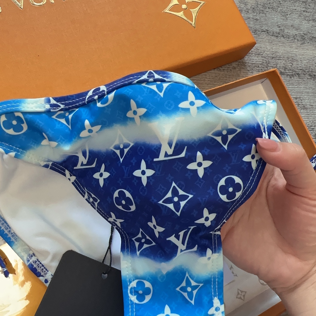 Louis Vuitton Bikini Swimsuit