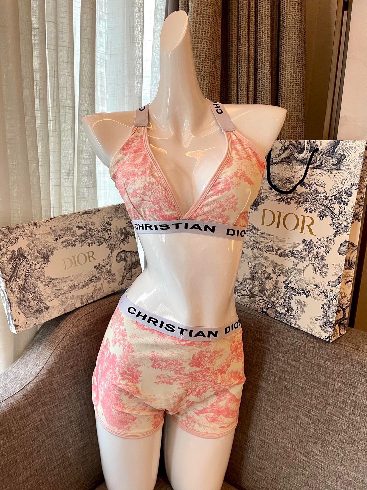 Dior split bikini swimming costume