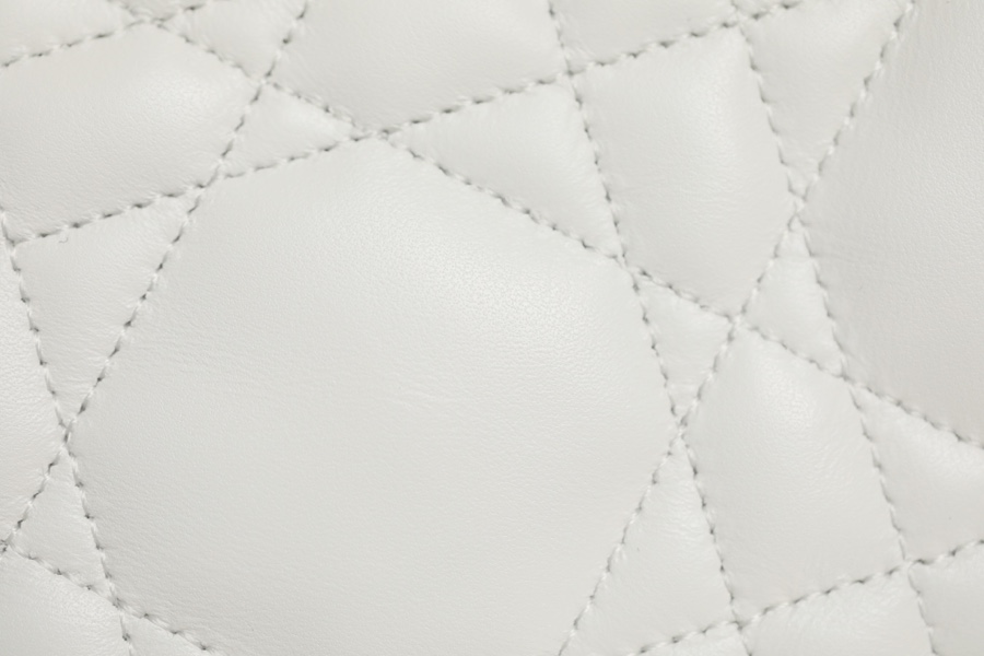 DIOR VIBE Medium Dumpling Bag