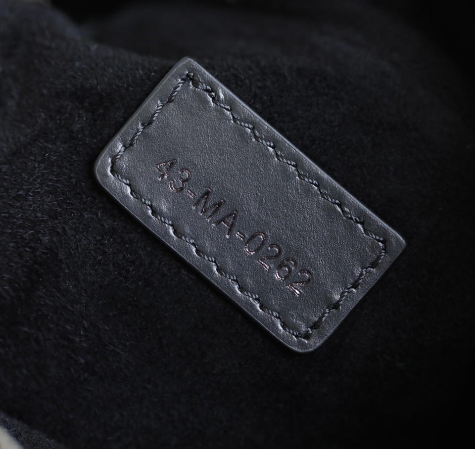 Dior Mini Tulip Bag Black